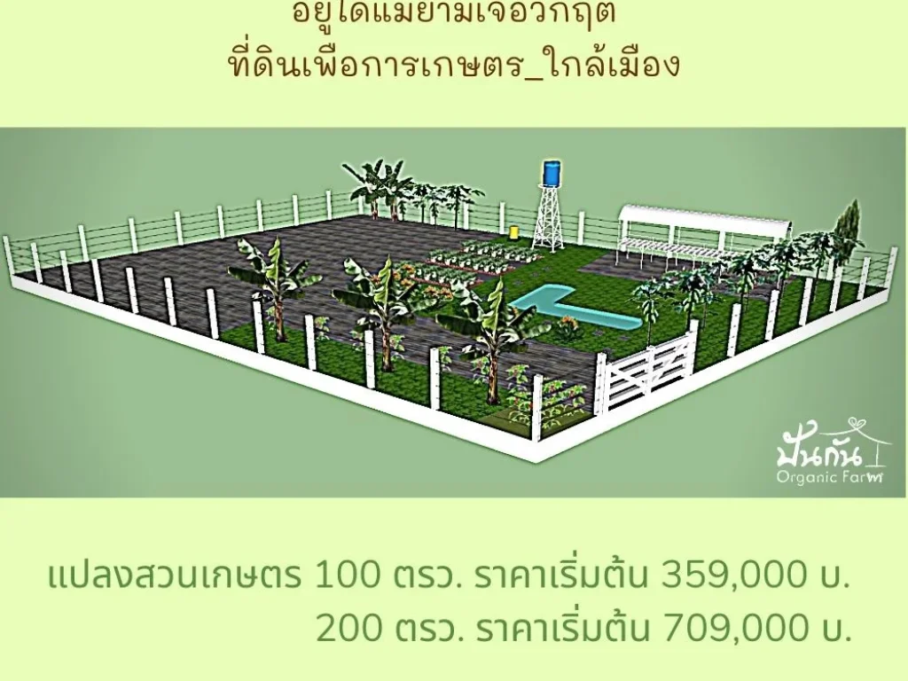 ที่ดินทำเกษตร บ้านสวนพักผ่อนไม่ไกลจากเมืองฯ ผ่อนกับเจ้าของที่ดินเดือนละ 3500 บ ถนนแจ้งสนิท