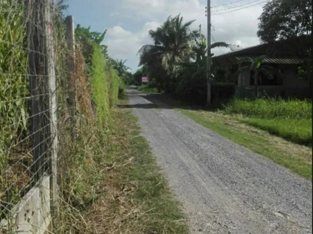 ขายที่ดิน 116ตรว หนองจอก ผดุงพันธ์ เหมาะสร้างบ้าน โฮมออฟฟิชขนาดเล็ก ติดถนนซอย 2 ด้าน ห่างถนนไม่ถึง 100ม ขายถูกมากๆ