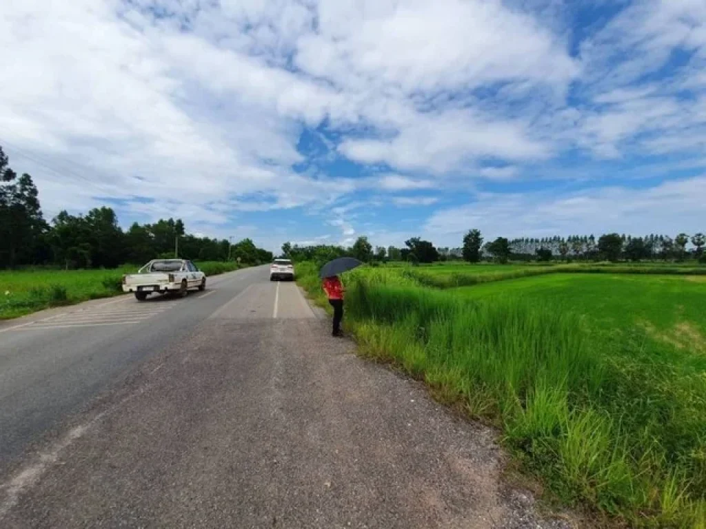 ขายที่ดินเปล่าแปลงสวย แบ่งขาย ที่ดินติดถนนลาดยาง ทางหลวงชนบทสายทุ่งโป่ง-น้ำพุ น้ำ-ไฟพร้อม ชัยนาท