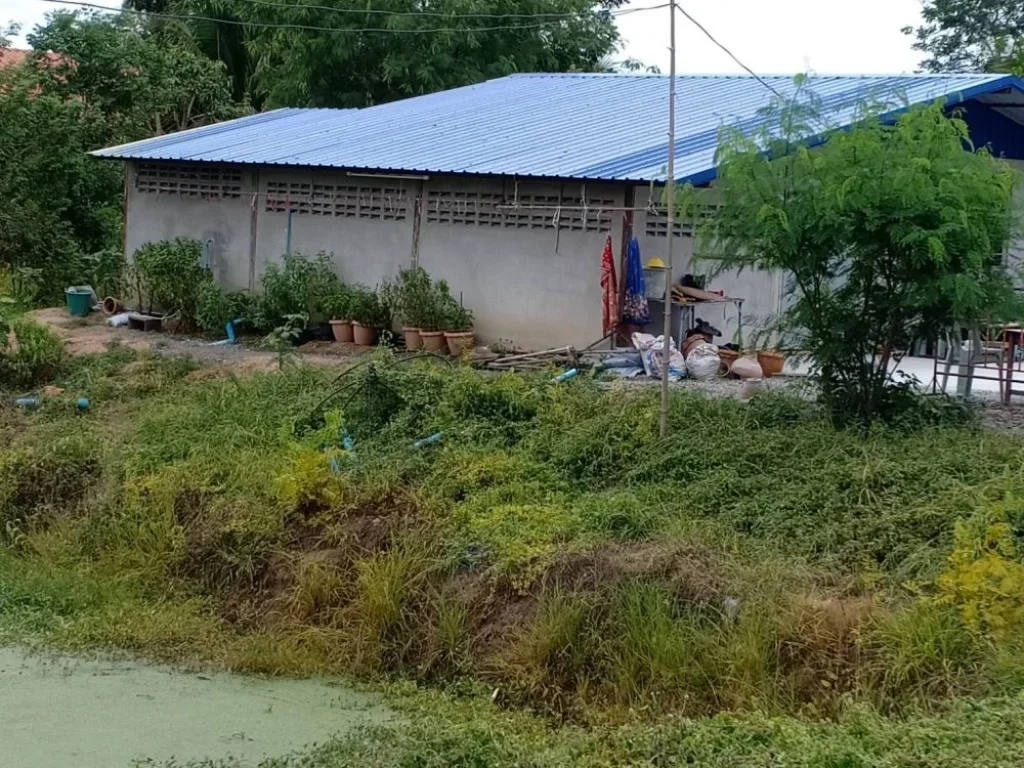 ขายที่ดินโฉนดพร้อมบ้านและไร่ไม้พยุงใน อดอนเจดีย์ จสุพรรณบุรี