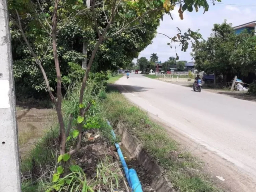 ขายที่ดินติดถนนร้องวัวแดง สันกำแพง เหมาแปลง