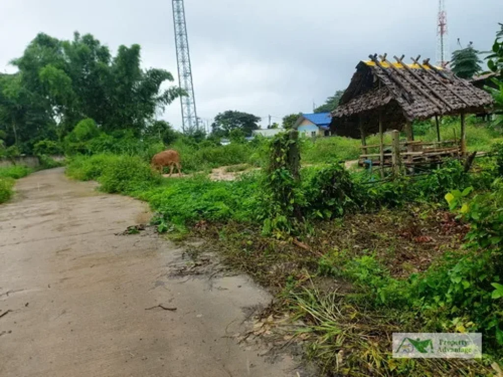 ขายที่ดินเปล่า 210 ตรว ตแม่กา อเมือง จ พะเยา ทำเลดี ราคาถูก