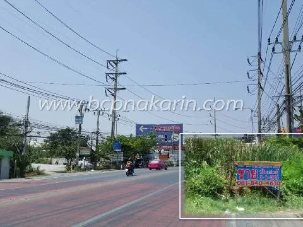 ขายที่ดิน วัดศรีวารีน้อย ซวัดศรีวารีน้อย บางนา เนื้อที่ 1508 ตรว