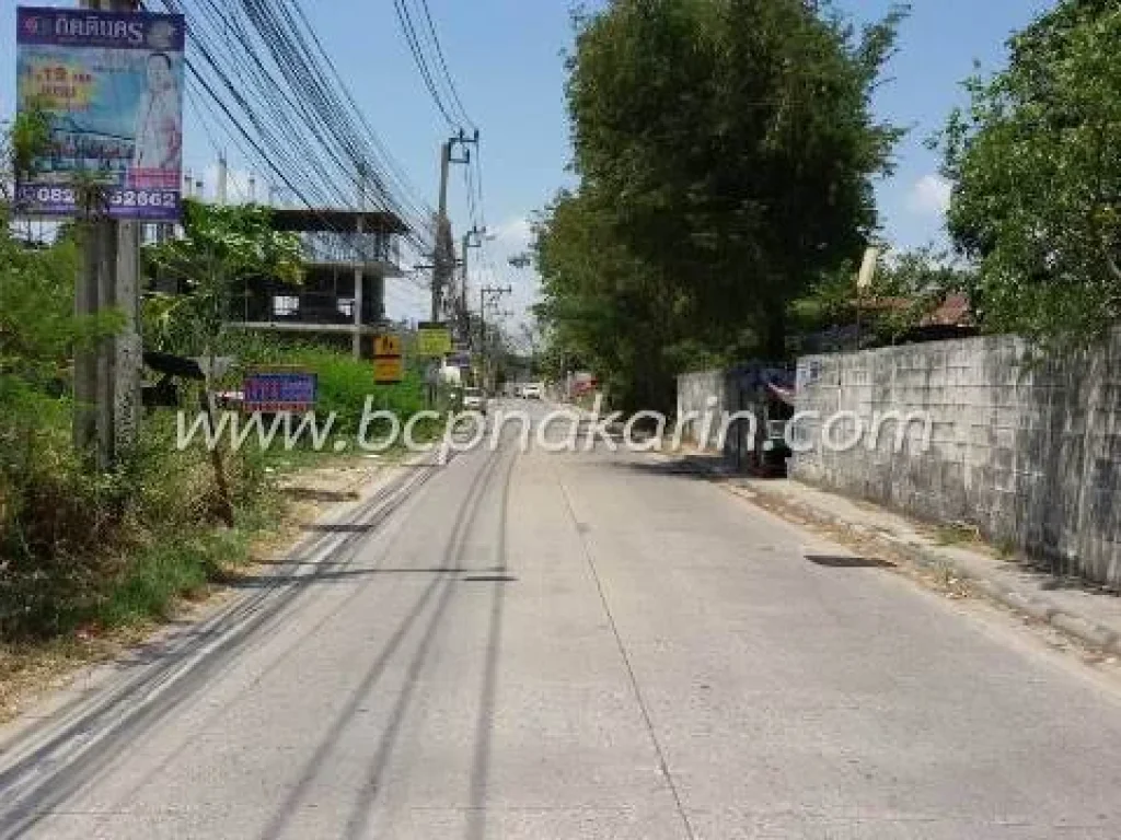 ขายที่ดิน วัดศรีวารีน้อย ซวัดศรีวารีน้อย บางนา เนื้อที่ 1508 ตรว