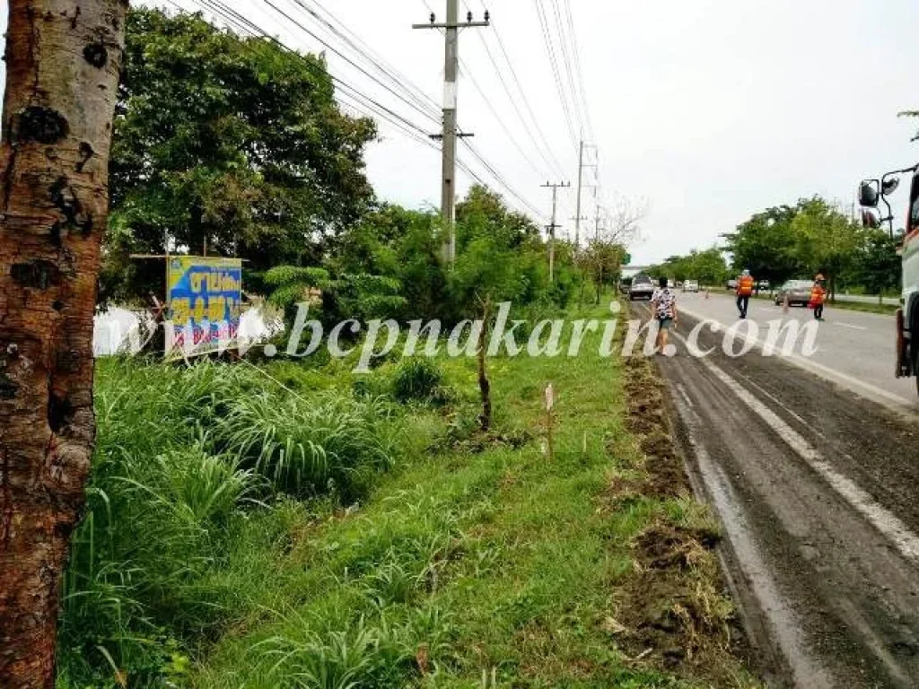 ขายที่ดิน เพชรเกษม เนื้อที่ 10050 ตรว