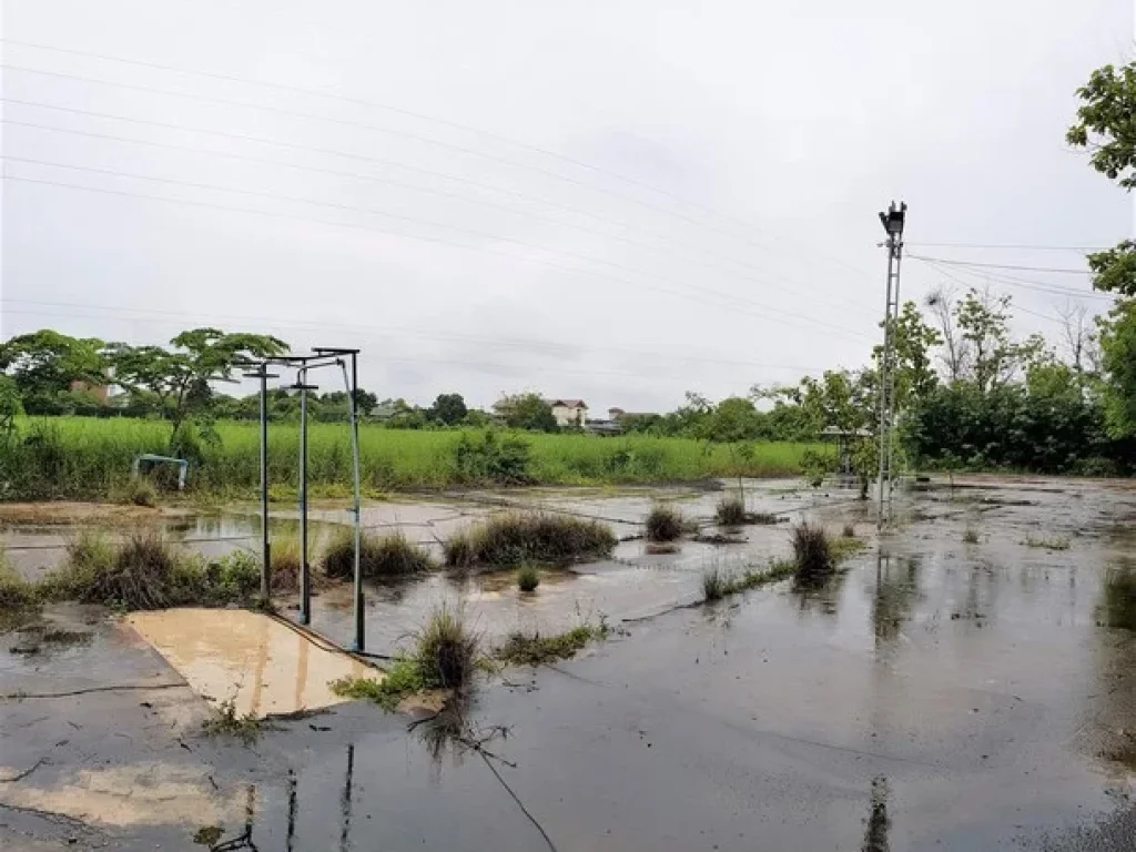 ขาย ที่ดิน 33 ไร่ แปลงสวย ทำเลดี ในเมืองพิษณุโลก ใกล้เซ็นทรัล