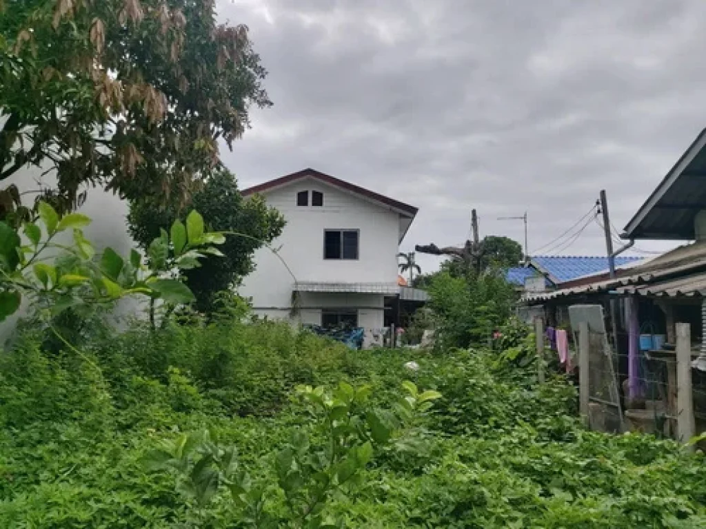 ขายที่ดิน 35 ตรว ทำเลดี ตำบลสุเทพ อำเภอเมือง จังหวัดเชียงใหม่