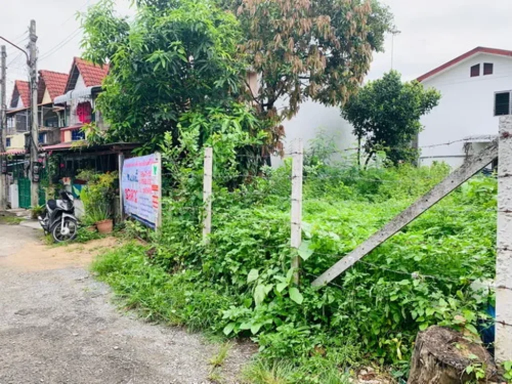 ขายที่ดิน 35 ตรว ทำเลดี ตำบลสุเทพ อำเภอเมือง จังหวัดเชียงใหม่