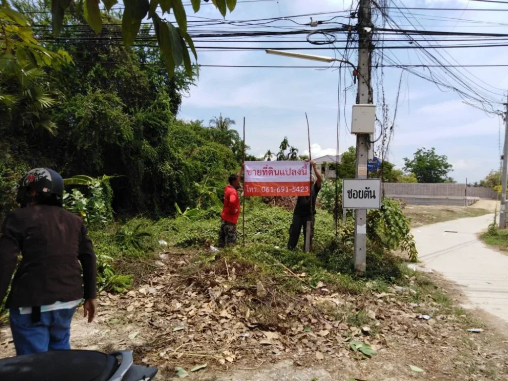 ขายที่ดินทำเลทอง ตำบลต้นมะม่วง อำเภอเมือง จังหวัดเพชรบุรี