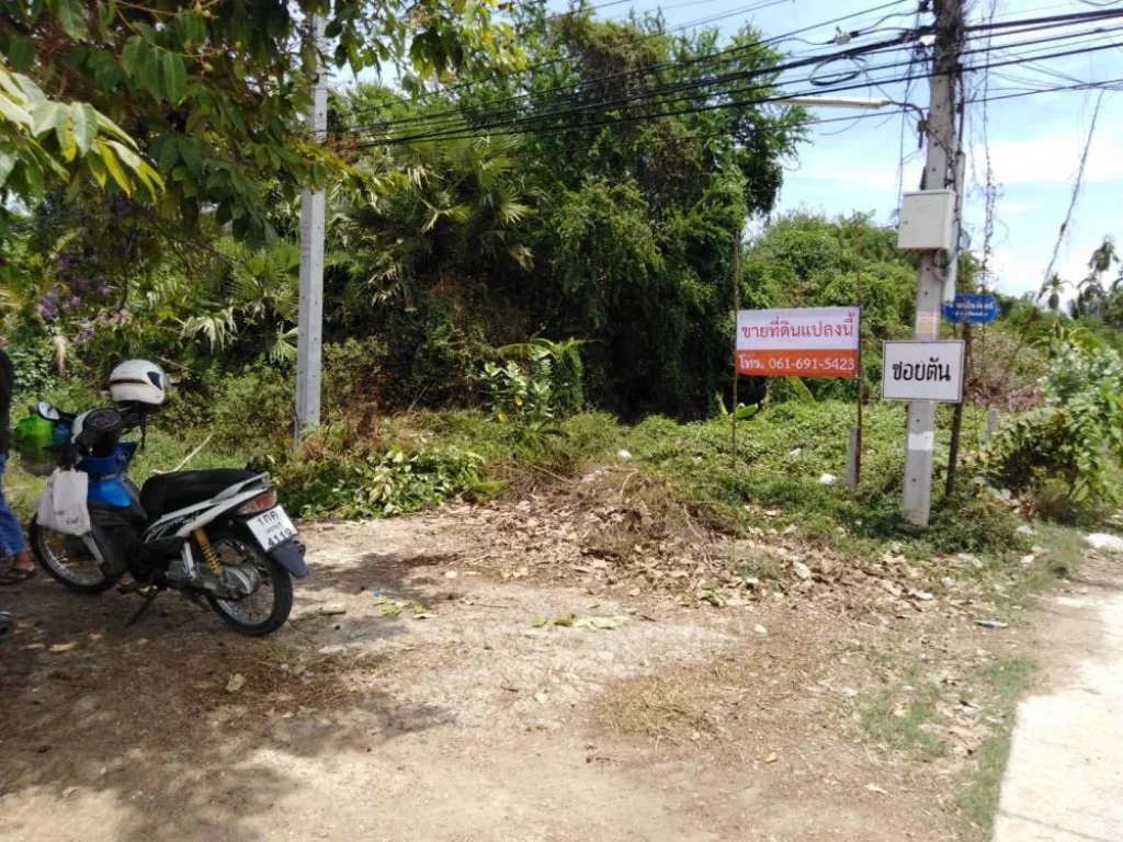 ขายที่ดินทำเลทอง ตำบลต้นมะม่วง อำเภอเมือง จังหวัดเพชรบุรี