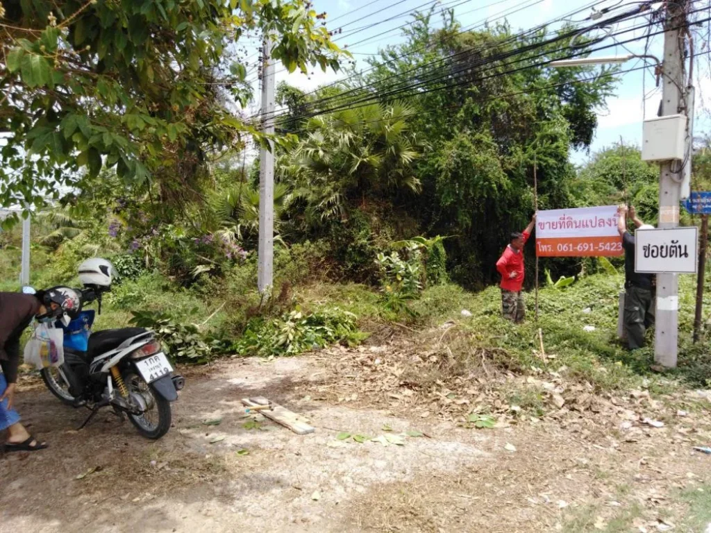 ขายที่ดินทำเลทอง ตำบลต้นมะม่วง อำเภอเมือง จังหวัดเพชรบุรี