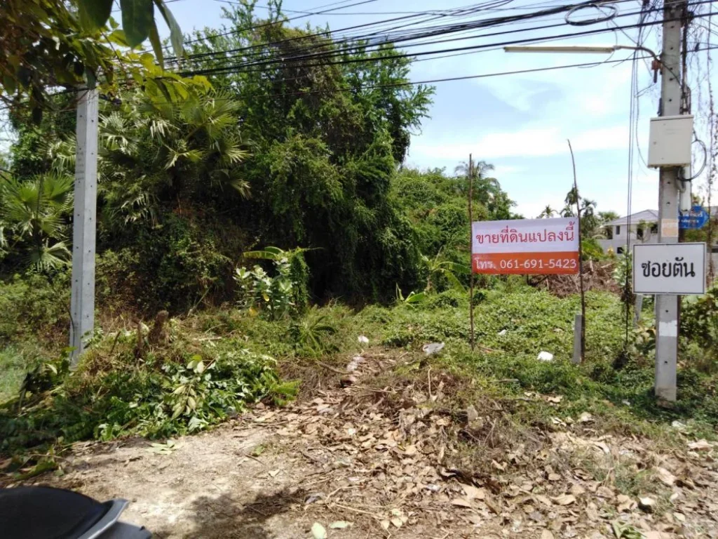 ขายที่ดินทำเลทอง ตำบลต้นมะม่วง อำเภอเมือง จังหวัดเพชรบุรี