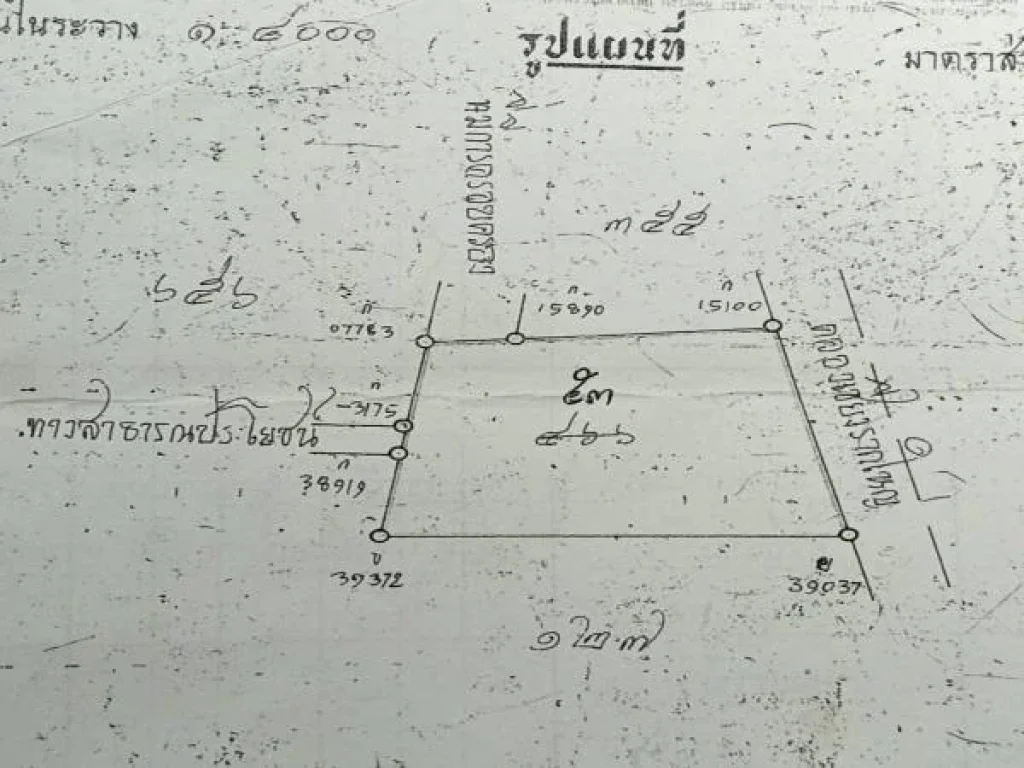 ขายบ้านริมน้ำ 2 หลังสไตล์โมเดิร์น ขนาดพื้นที่ 82 ตารางวา อเมือง จปทุมธานี