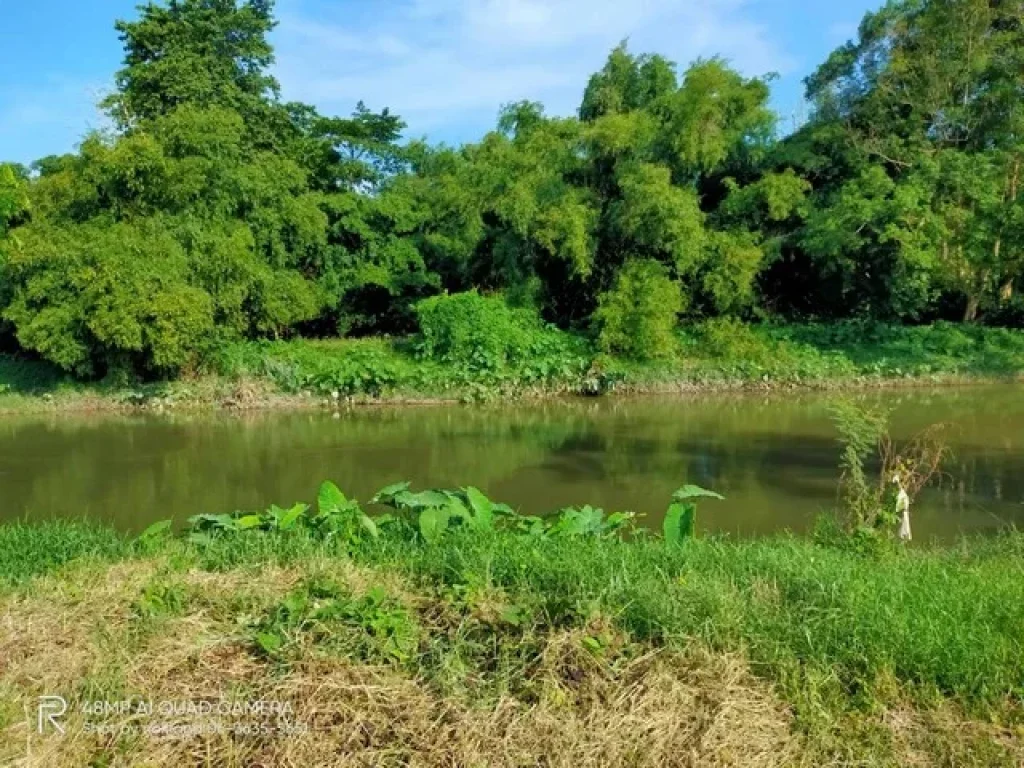 ขายที่ดินติดแม่น้ำล่องแก่ง ฝั่งสาริกา เมืองนครนายก ถูกที่สุดในโซนนี้ เนื้อที่ 5-3-34 ไร่