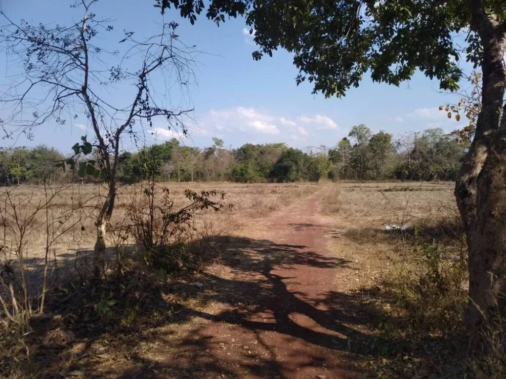 ขายที่ดิน 12-3-40 THB4000000 พระธาตุบังพวน เมือง หนองคาย