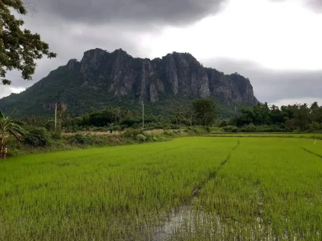 ขายที่ดินสวย ราคาถูก ทำเลทอง ติดสถานที่ท่องเที่ยว สวิตเซอร์แลนด์เมืองไทย หุบป่าตาด จอุทัยธานี