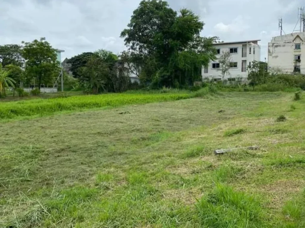 ขายที่ดินพัฒนาการ 69 Phatthanakan Land for sale แปลงมุม 200ตรว ขายถูก จากถใหญ่ 900ม อยู่พัฒนาการตัดใหม่ ออกศรีนครินทร์ พระราม9 เอกมัย ทองหล่อ