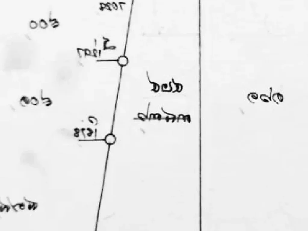 ขายที่ดินเปล่า 113 ตรว ใกล้ถนนพุทธมณฑลสาย3 ศาลาธรรมสพน์ ทวีวัฒนา กทม