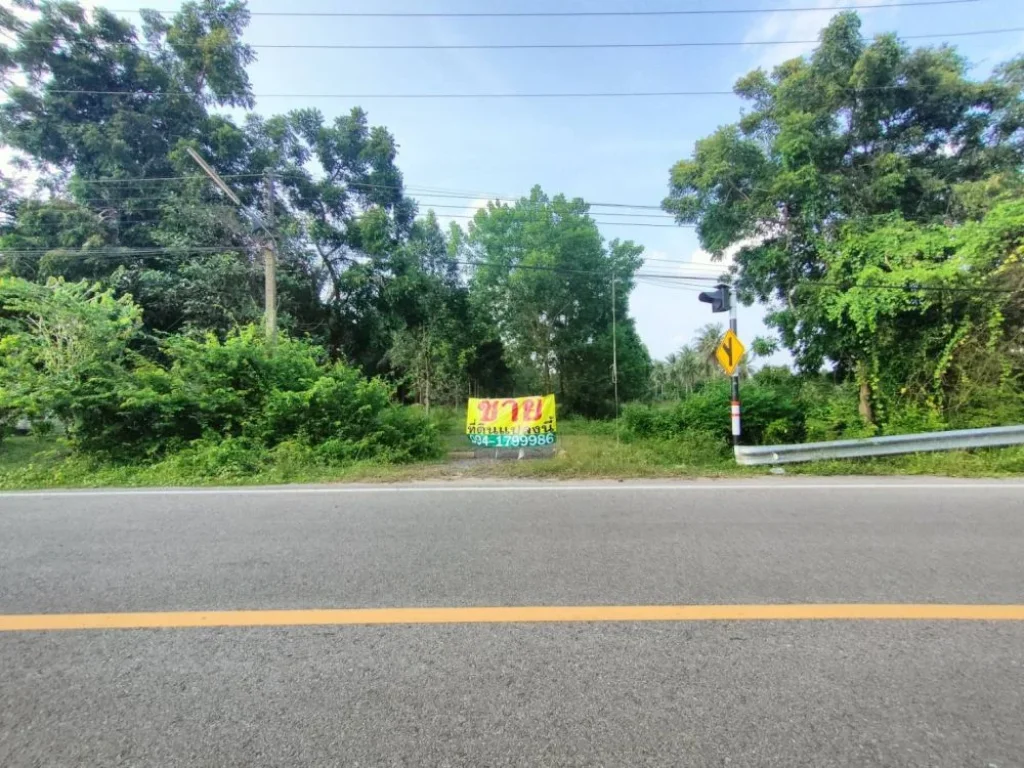 ขายที่ดินเปล่า ติดชายหาดบ้านหนองบัว อำเภอละแม จังหวัดชุมพร