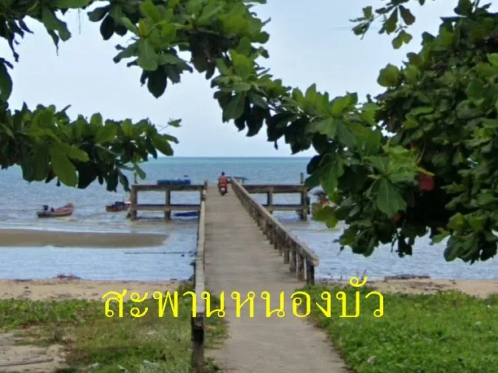 ขายที่ดินเปล่า ติดชายหาดบ้านหนองบัว อำเภอละแม จังหวัดชุมพร