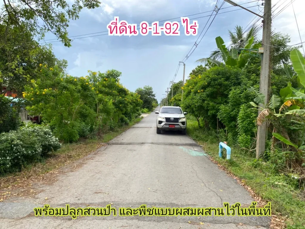 ขายถูกที่สุด ที่ดินบรรยากาศรีสอร์ท 8-1-92 ไร่ ถมแล้วบางส่วน คลองเก้า อหนองเสือ