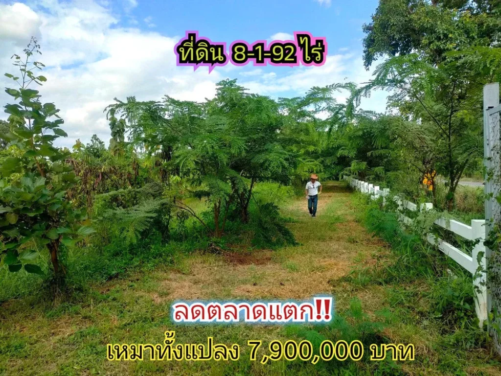 ขายถูกที่สุด ที่ดินบรรยากาศรีสอร์ท 8-1-92 ไร่ ถมแล้วบางส่วน คลองเก้า อหนองเสือ