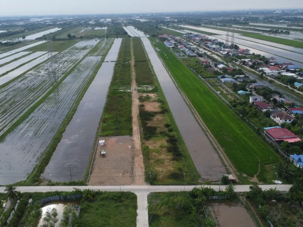 ที่ดินถมแล้ว 200 ตรว ลำลูกกา คลอง 8 ปทุมธานี แปลงสุดท้าย กู้ธนาคารเงินเหลือๆเป็นแสน