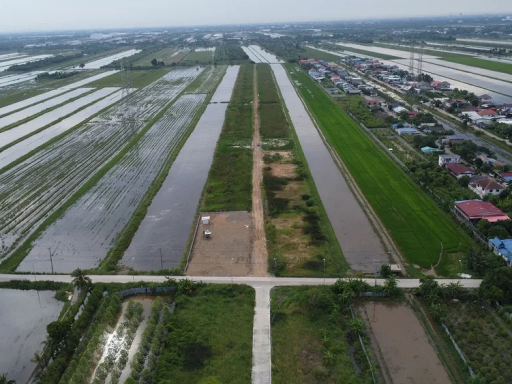 ที่ดินถมแล้ว 200 ตรว ลำลูกกา คลอง 8 ปทุมธานี แปลงสุดท้าย กู้ธนาคารเงินเหลือๆเป็นแสน