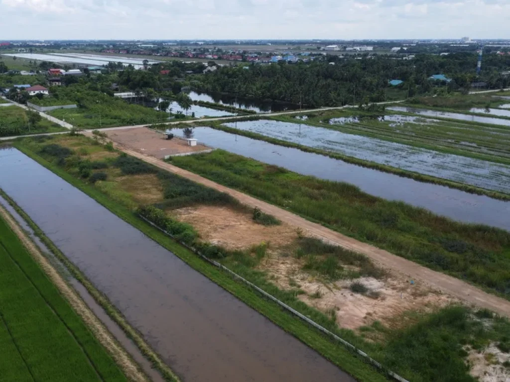 ที่ดินถมแล้ว 200 ตรว ลำลูกกา คลอง 8 ปทุมธานี แปลงสุดท้าย กู้ธนาคารเงินเหลือๆเป็นแสน