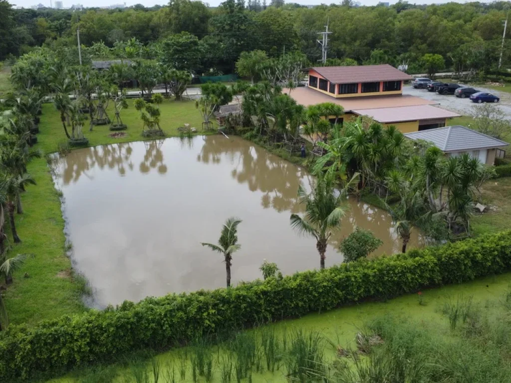 บ้านสวน 2 ชั้น บ้านเดี่ยวมือหนึ่ง ทำเล คลอง 6 ฝั่งคลองหลวง ปทุมธานี พร้อมเข้าอยู่ ตกแต่งสวยงาม พร้อมสวนสวย บนเนื้อที่ 3-2-60 ไร่