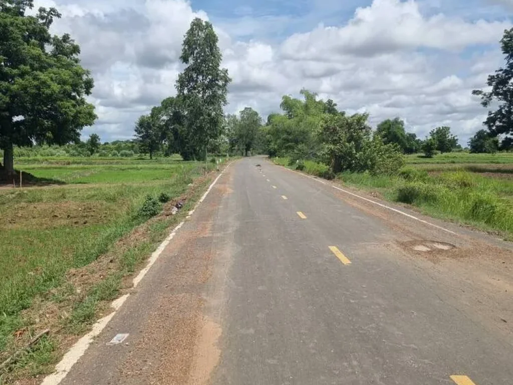 ขายที่ดินใกล้ด่านตรวจสินค้าถนนมิตรภาพไทย-กำพูชา จังหวัดสระแก้ว