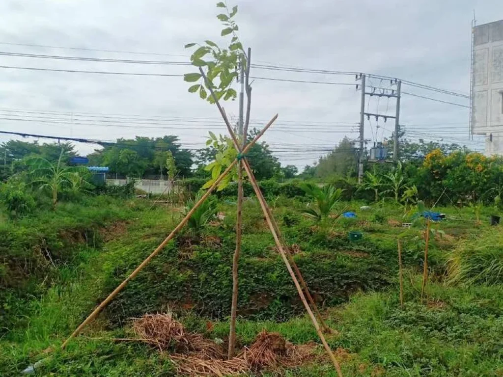 ขายที่ดินแปลงสวย ใจกลางเมืองนครปฐม เข้า-ออก สะดวกสบาย