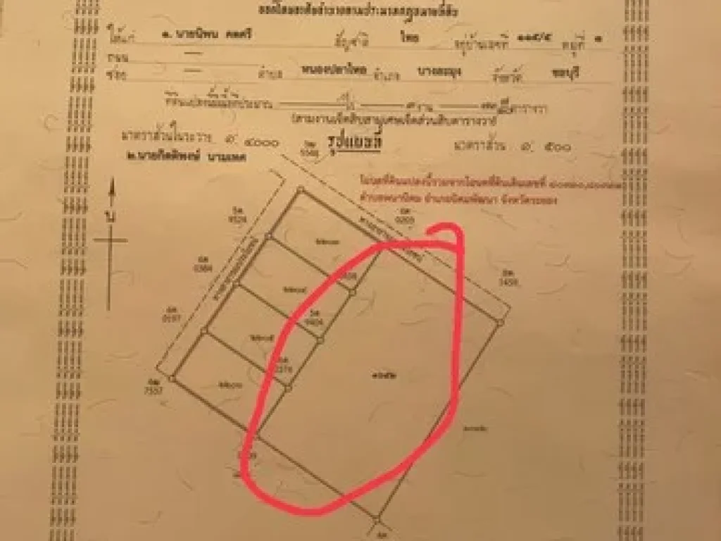 ขายที่ดินนิคมพัฒนา จังหวัดระยองที่ดินเหมาะแก่การลงทุนสร้างบ้านขาย