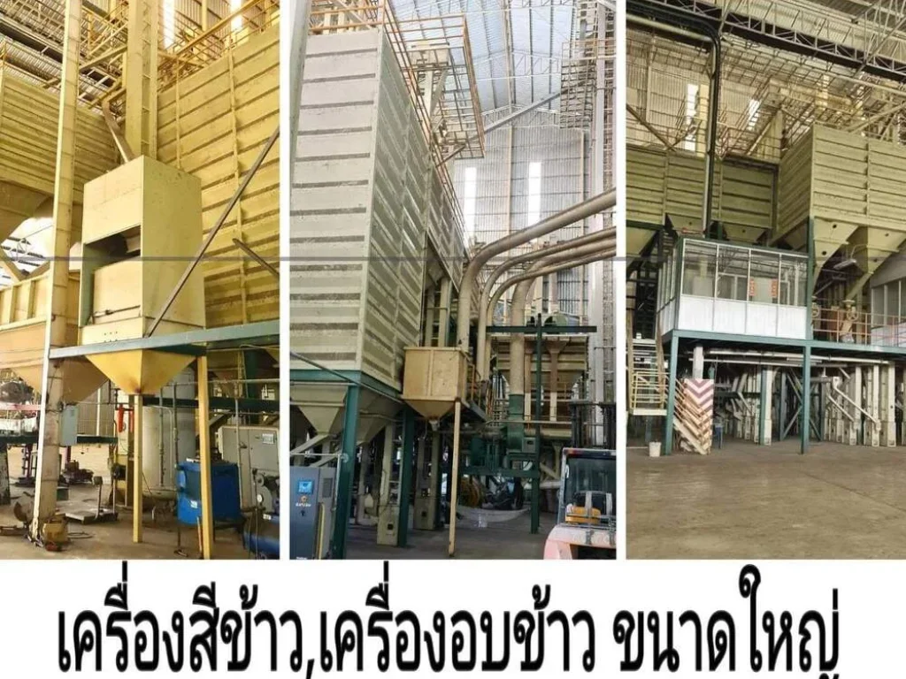 ขายโรงสีข้าว ไซโลอบข้าว อภูซาง จพะเยา Large rice mill for sale Phu Sang District Phayao Province