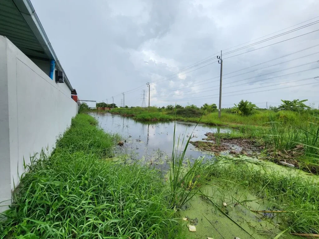 ขายที่ดิน หนองจอก ใกล้สนามกีฬาบางกอกอารีนา เข้าได้ทั้งถนนมิตรไมตรีและถนนเชื่อมสัมพันธ์ ใกล้ศูนย์ราชการ ห้างสรรพสินค้า ขนาด 1 ไร่