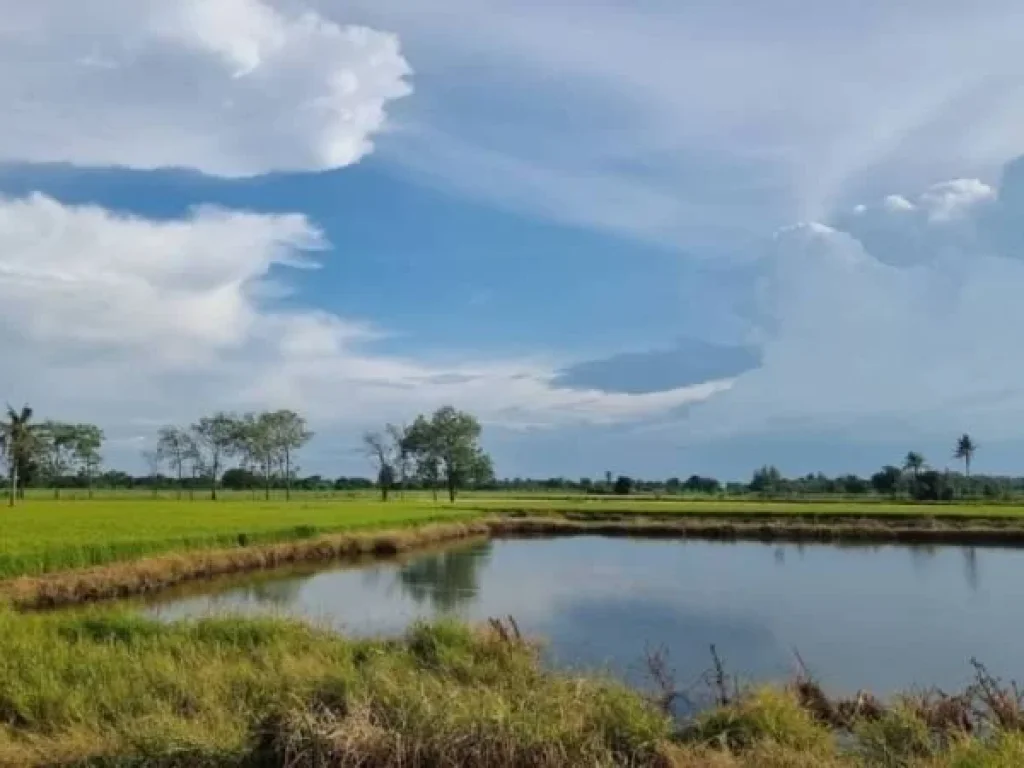 ขาบที่ดินกระตีบ พร้อมปลูกบ้าน เริ่ม250ตรว ฟรีดาวน์ กำแพงแสน นครปฐม