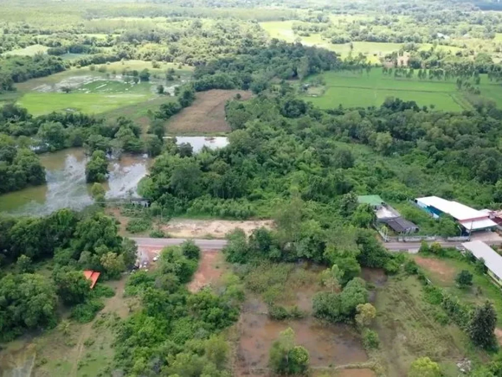 ขาย ที่ดินเปล่า บ้านหัวซา ตำบลหัวหว้า อำเภอศรีมหาโพธิ ปราจีนบุรี ใกล้แหล่งชุมชน