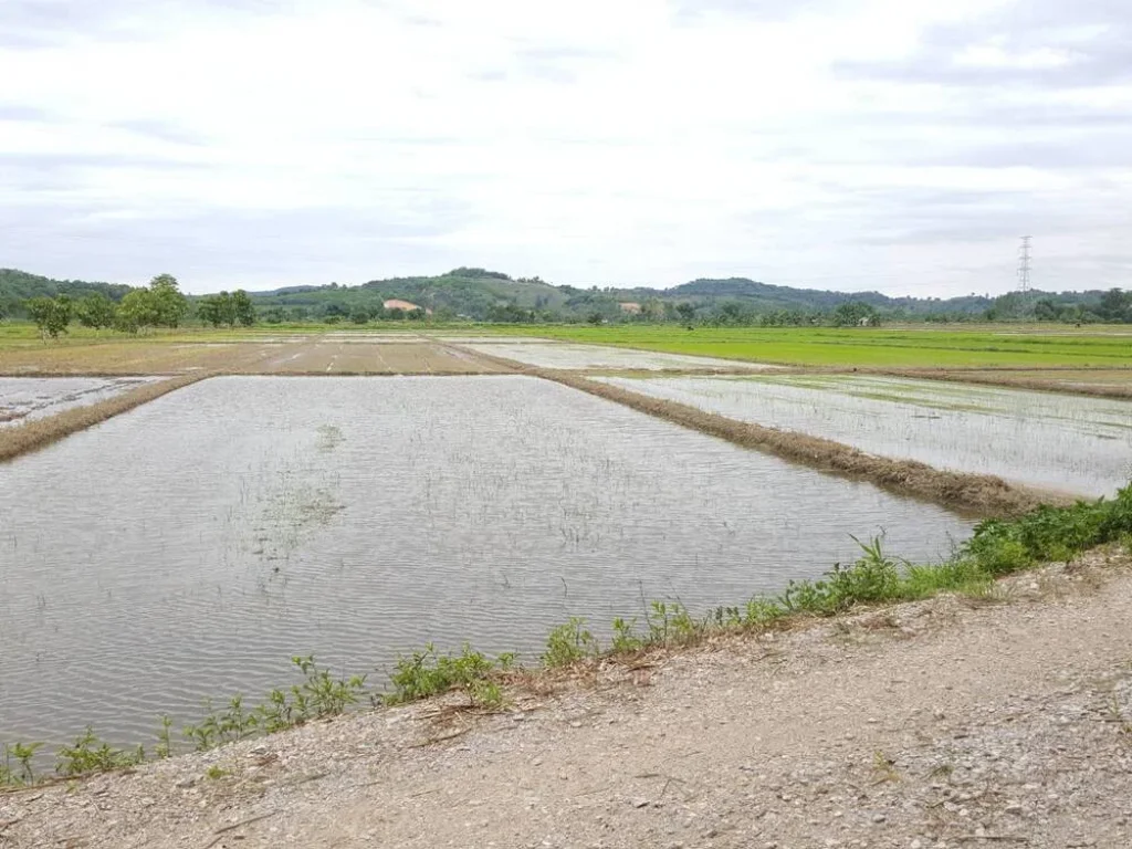 ขายที่ดินแปลงสวย จังหวัดเชียงราย อำเภอแม่จัน ตำบลจอมสวรรค์