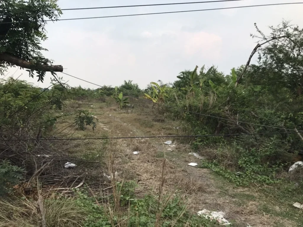 ขายที่ดินติดถนนคลองสี่ ตำบลคลองสี่ อำเภอคลองหลวง จังหวัดปทุมธานี