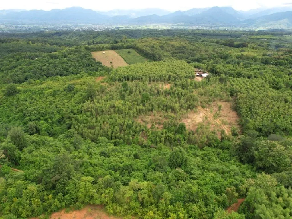 ที่ดินทำเลใกล้ตัวเมืองปัว วิวภูเขาสูงและสวย เนื้อที่ 9-2-60 ไร่ อปัว จน่าน