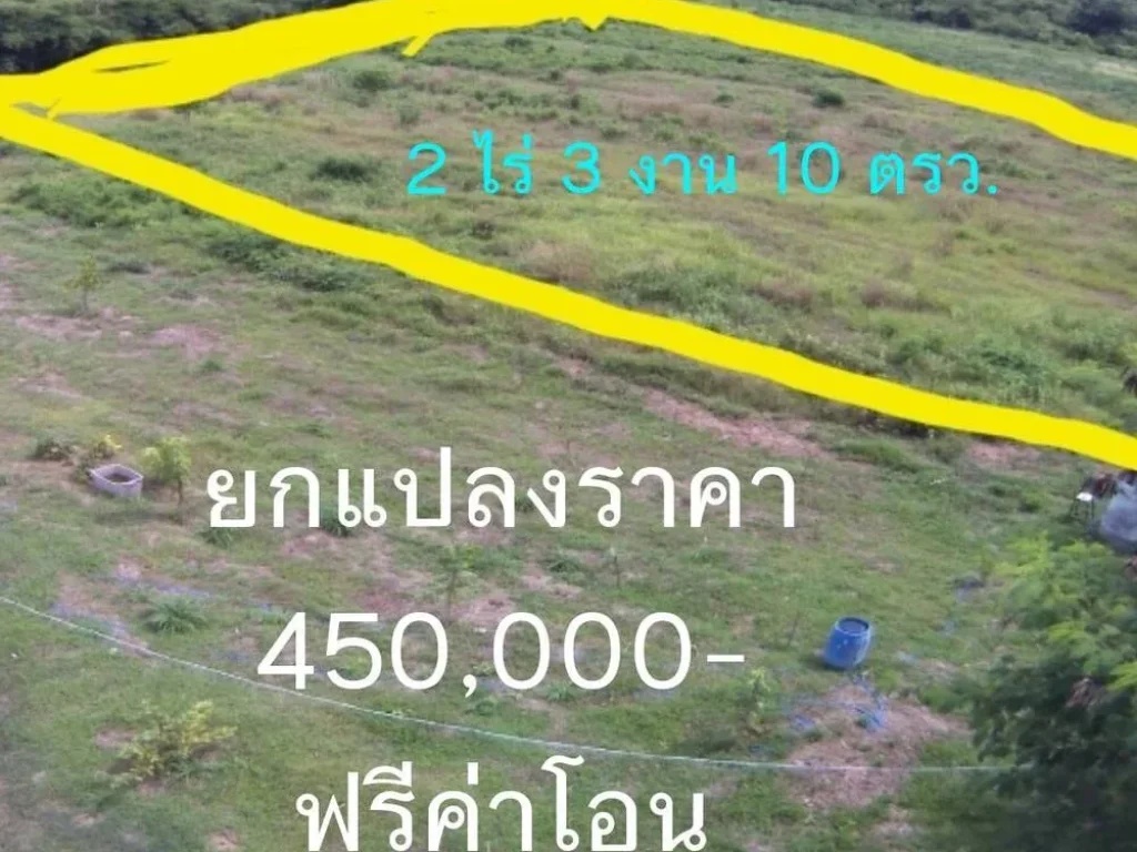 ขายที่ดิน 2-3-10 ไร่ ตกุดจอก อหนองมะโมง จชัยนาท ฟรีค่าโอน