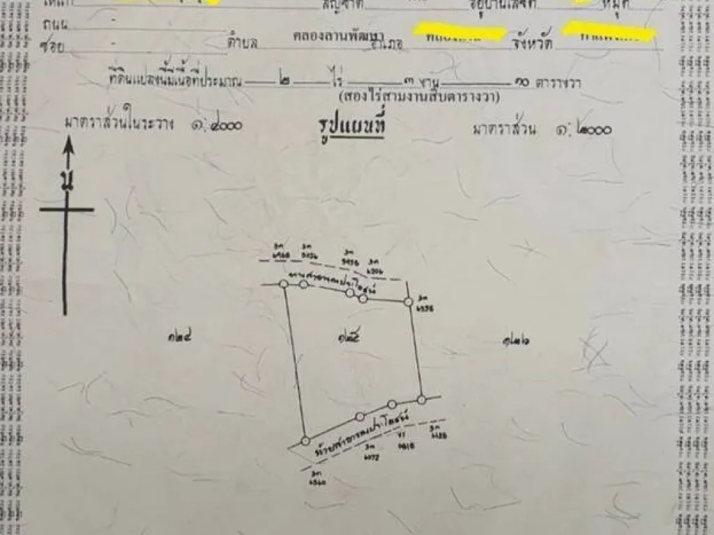 ขายที่ดิน 2-3-10 ไร่ ตกุดจอก อหนองมะโมง จชัยนาท ฟรีค่าโอน