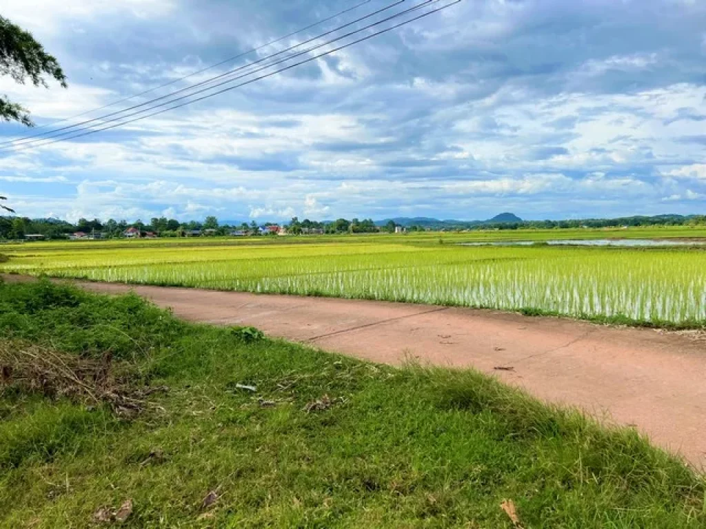 ขายที่นาเหมาะสำหรับปลูกสร้างที่พักอาศัย บรรยากาศดี วิวทุ่งนา ไฟฟ้า ถนน ถึงที่ดิน อเมืองน่าน