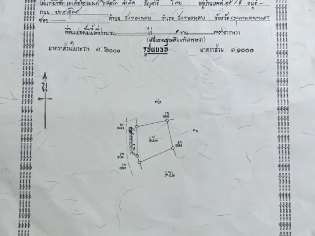 ขาย ที่ดินจัดสรร เขาค้อไฮแลนด์ เพชรบูรณ์ โฉนดถูกต้อง อากาศบริสุทธิ์ วิวภูเขา