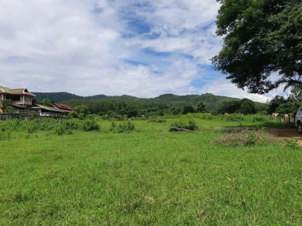 ติดทรัพย์ ขายที่ดินติดลำธาร วิวภูเขา แปลงเล็กที่สวยที่สุดในเชียงใหม่