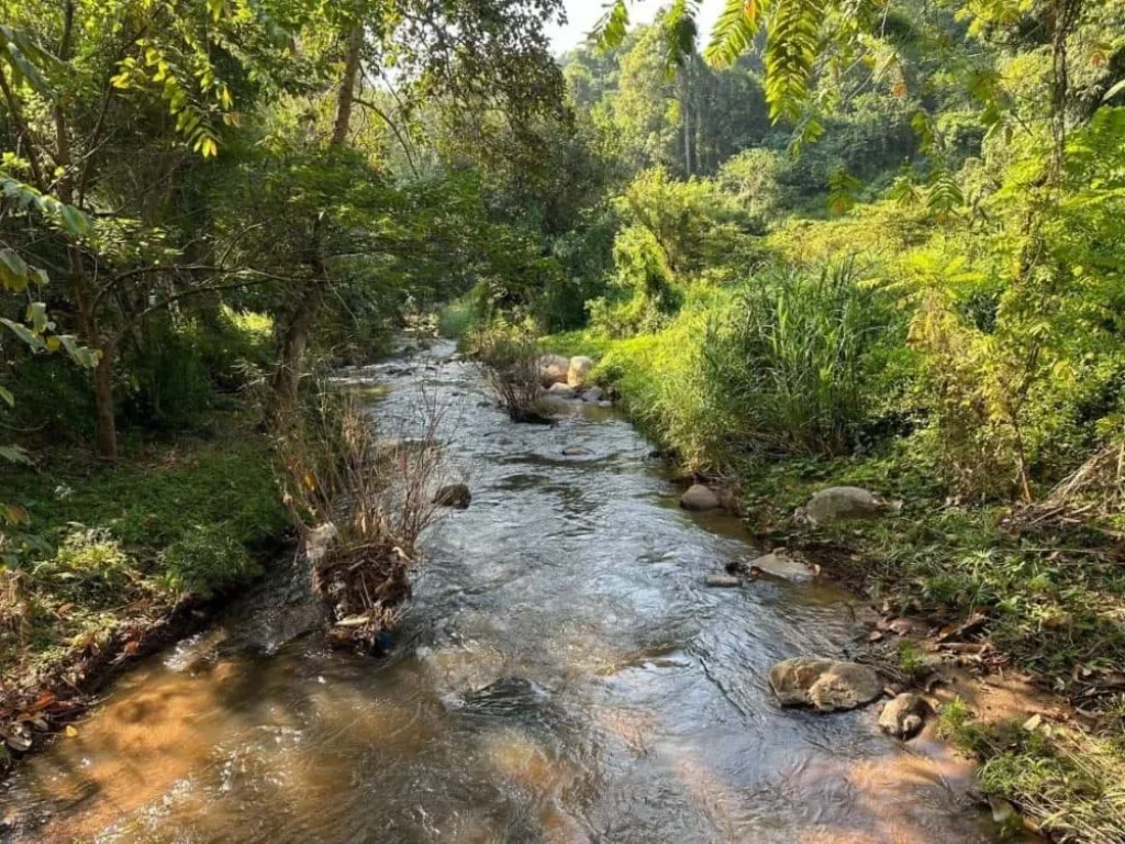 ติดทรัพย์ ขายที่ดินติดลำธาร วิวภูเขา แปลงเล็กที่สวยที่สุดในเชียงใหม่