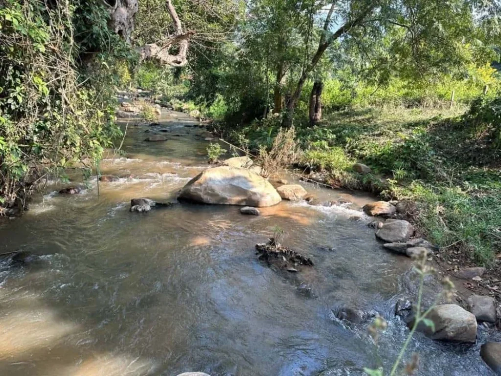 ติดทรัพย์ ขายที่ดินติดลำธาร วิวภูเขา แปลงเล็กที่สวยที่สุดในเชียงใหม่