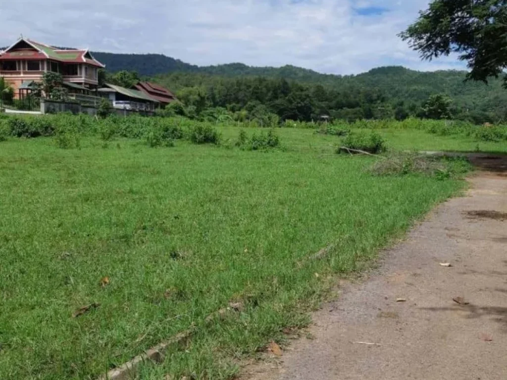 ติดทรัพย์ ขายที่ดินติดลำธาร วิวภูเขา แปลงเล็กที่สวยที่สุดในเชียงใหม่