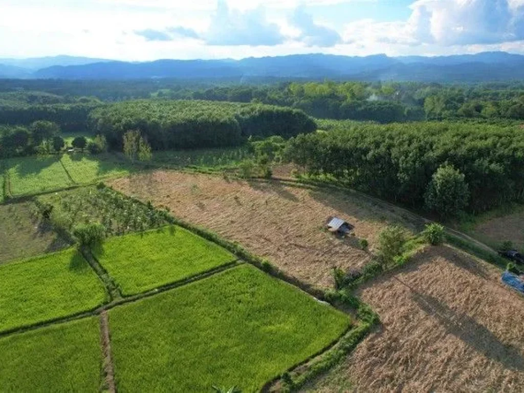 ที่ดินสำหรับปลูกบ้าน บ้านสวนเกษตร วิวภูเขา อเชียงกลาง จน่าน