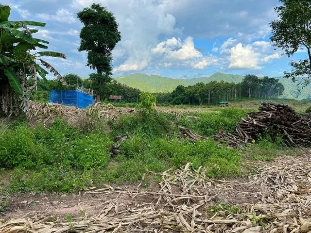 ที่ดินสำหรับปลูกบ้าน บ้านสวนเกษตร วิวภูเขา อเชียงกลาง จน่าน